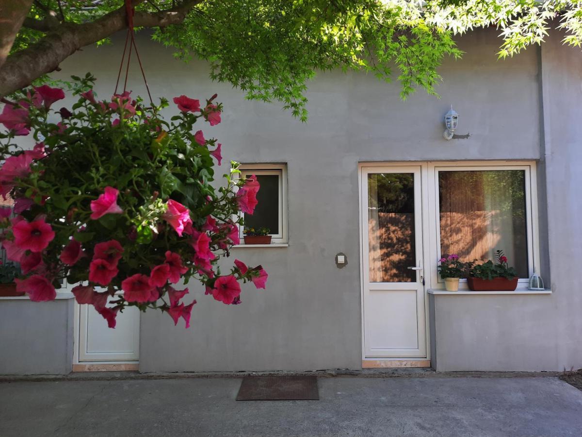Soul Hotel Palic Exterior photo