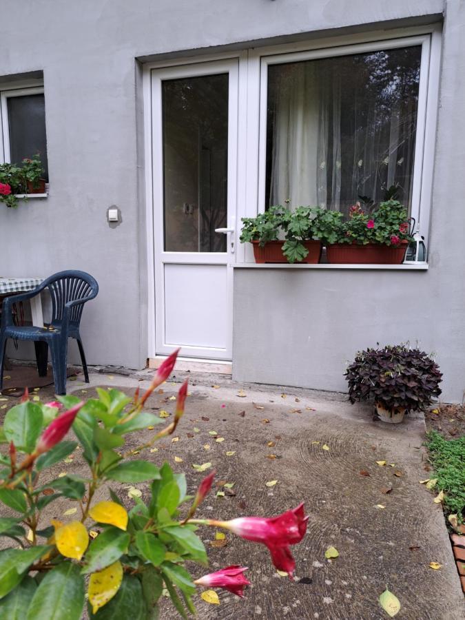 Soul Hotel Palic Exterior photo